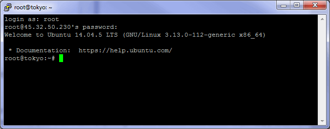 Putty ssh session screen