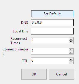 DNS settings screen for SSR version 4.9.2