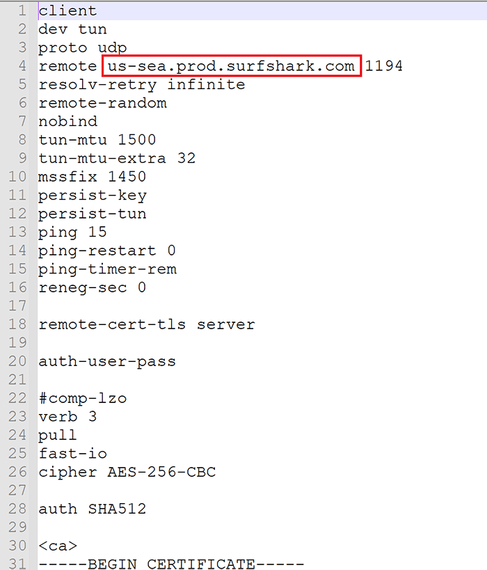 Original OpenVPN config file from Surfshark website (Seattle location)