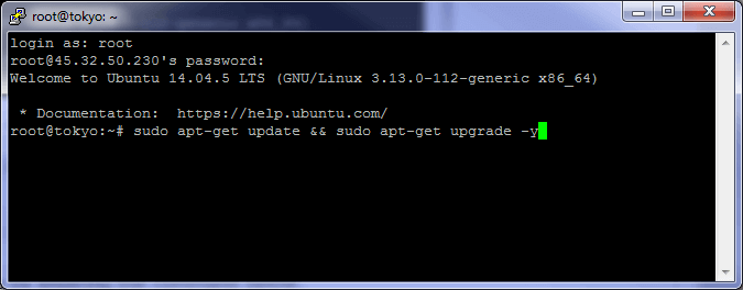 Putty ssh screen showing update and upgrade commands entered.